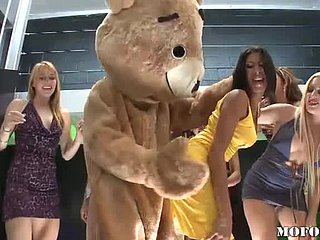 Dansende beer neukt latina kayla carrera in the matter of hete vrijgezellenfeest